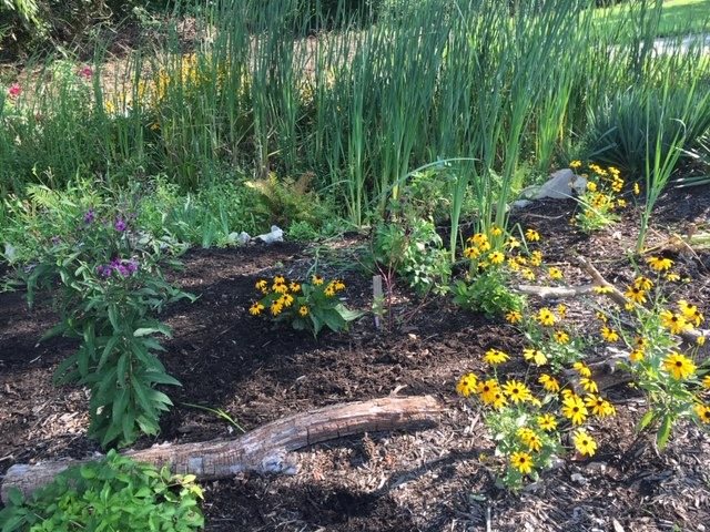 Lutherville Garden Club wins most prestigious national award from the National Garden Clubs for the Monarch Waystation.